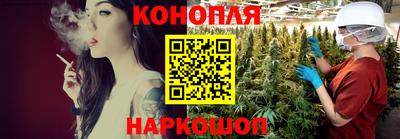 дживик Кингисепп