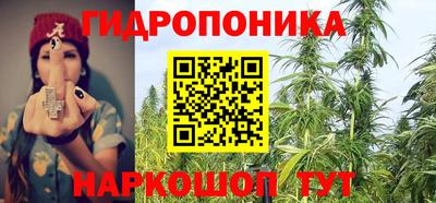 дживик Кингисепп