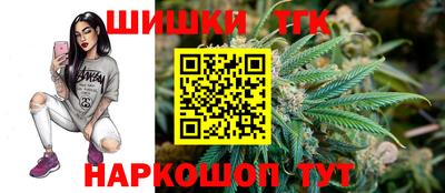 дживик Кингисепп