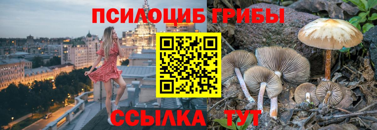 Галлюциногенные грибы Cubensis  Вход с VPN  Кропоткин 